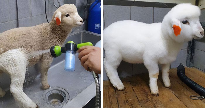 50 vezes que as pessoas postaram fotos incríveis de antes e depois online