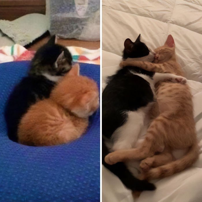 50 vezes que as pessoas postaram fotos incríveis de antes e depois online