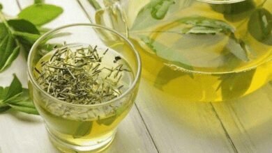 10 benefícios do chá de erva-doce reconhecidos pela ciência