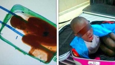 10 Coisas estranhas e bizarras encontradas em aeroportos