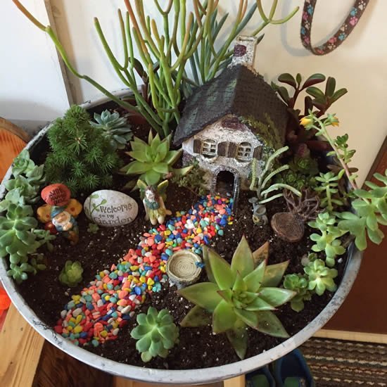 Lindo mini jardim com suculentas
