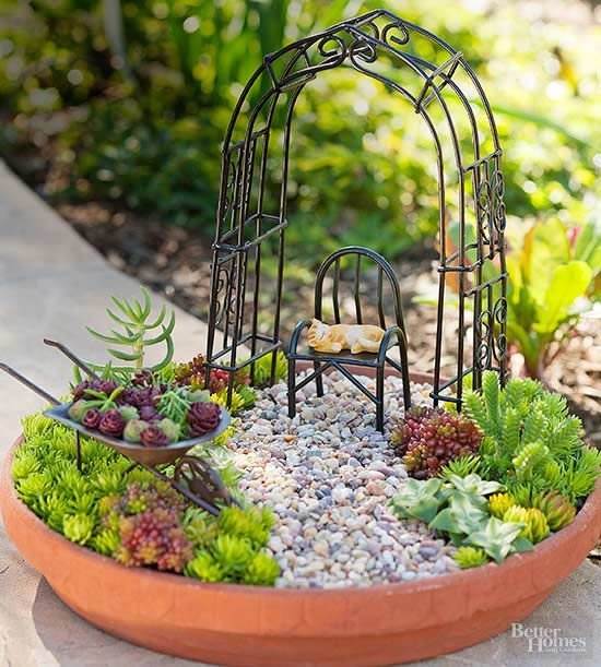 Decoração e mini jardim com suculentas