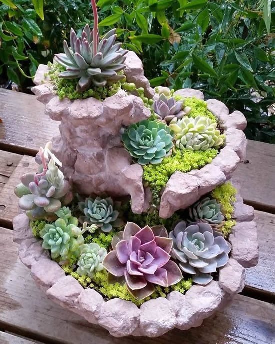 Ideias para mini jardim com suculentas
