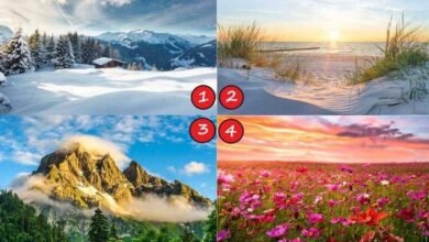 TESTE: Escolha uma paisagem e saiba suas características