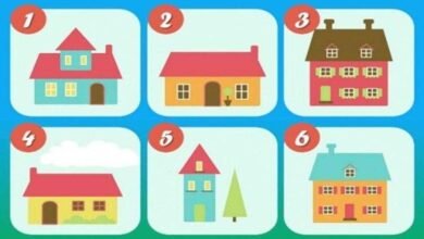 Escolha a casa ideal para si e descubra mais sobre seus sentimentos