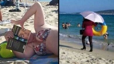19 fotos revelando que as praias são cheias de surpresas