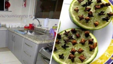 Saiba Como Eliminar Mau Cheiro da Cozinha