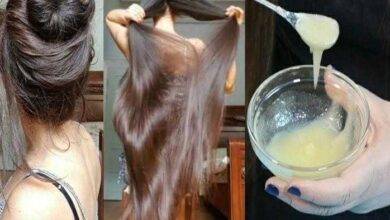 Receita Caseira Para Prevenir a Queda de Cabelo