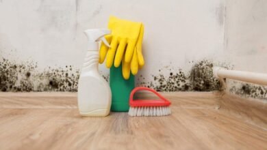 Maneiras fáceis de prevenir e remover o mofo de dentro de casa