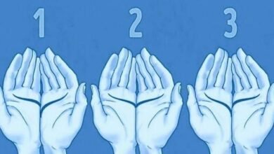 As linhas da sua mão revela algo incrível sobre você 2