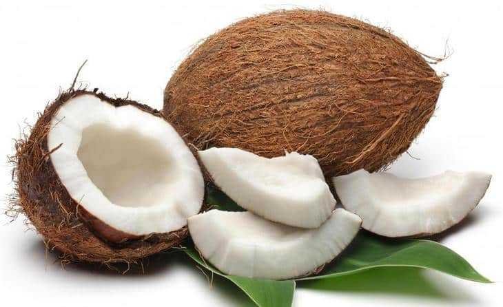 Receitas rápidas com frango desfiado