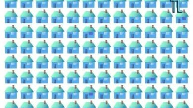 Você vê as 5 casas diferentes das demais na imagem? Divirta-se com este desafio viral.