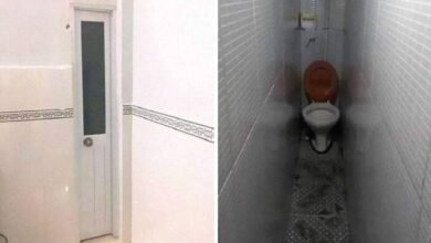Desastres de construção: divirta-se com 11 imagens em que o projeto foi um fracasso