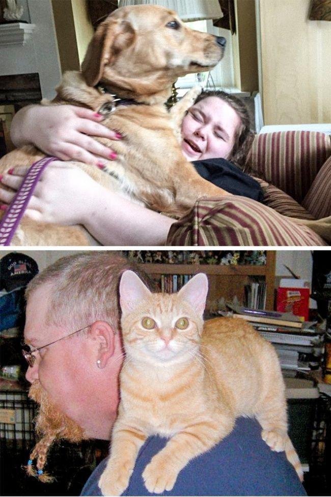 diferenca-gato-cachorro-11