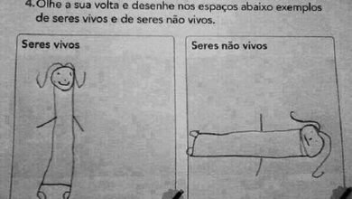 10 pérolas de alunos que não passarão de ano