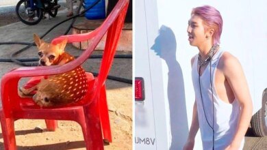 18 vezes que as sombras acabaram distorcendo a realidade