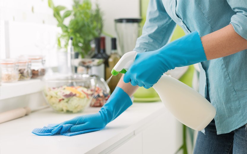 limpeza para afastar moquitinhos da cozinha