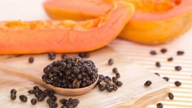 5 Benefícios de comer sementes de mamão