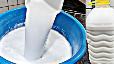 Sabão líquido caseiro sem soda feito com ingredientes que você tem em casa