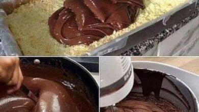 Click Bolso Receitas