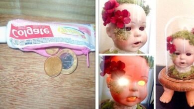 23 Objetos que provam que não há limites quando se trata de bizarrices
