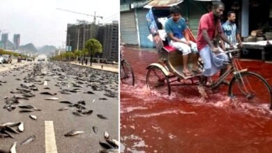 8 coisas mais estranhas que já caíram do céu. Um guarda-chuva não irá protegê-lo disso