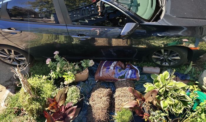 Costela bovina na pressão, só de olhar dá água na boca