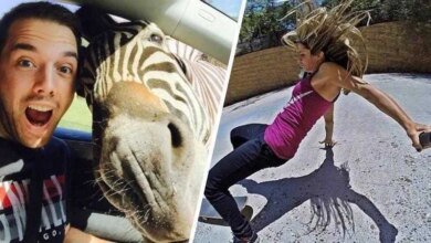 20 Pessoas que deram mal em tirar selfies