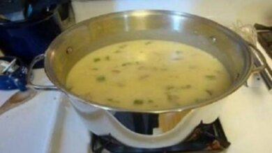 Sopa desintoxicante e anti-inchaço | Bau das DICAS