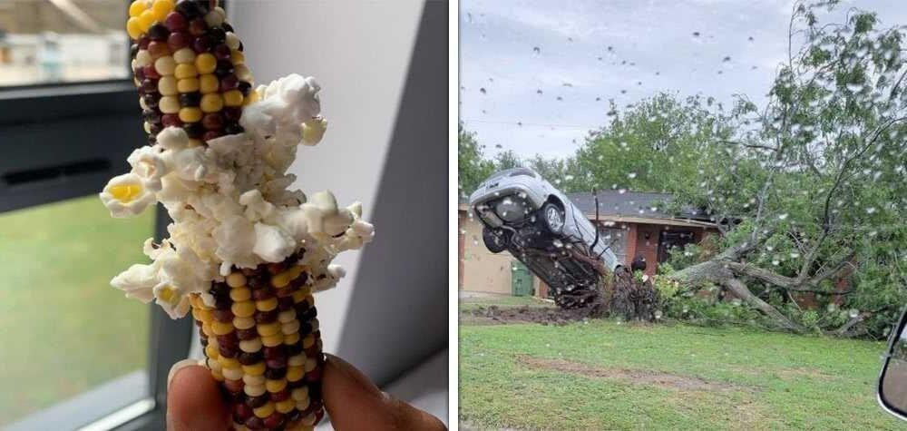 15 imagens que mostram que a natureza não brinca em serviço