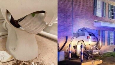 18 pessoas que encontraram pequenas surpresas em suas próprias casas