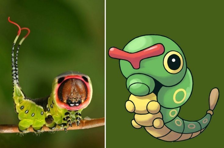 pokemon3