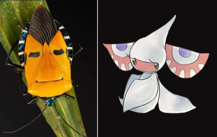 pokemon7
