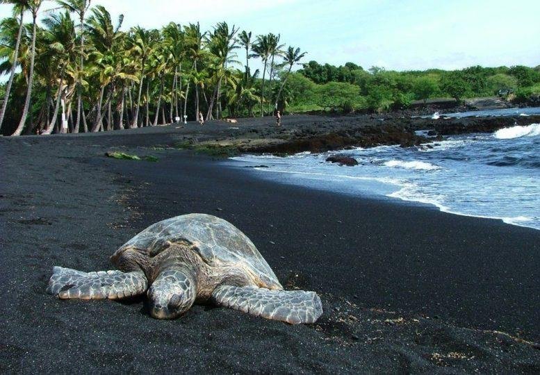 15 Praias que são bem diferentes