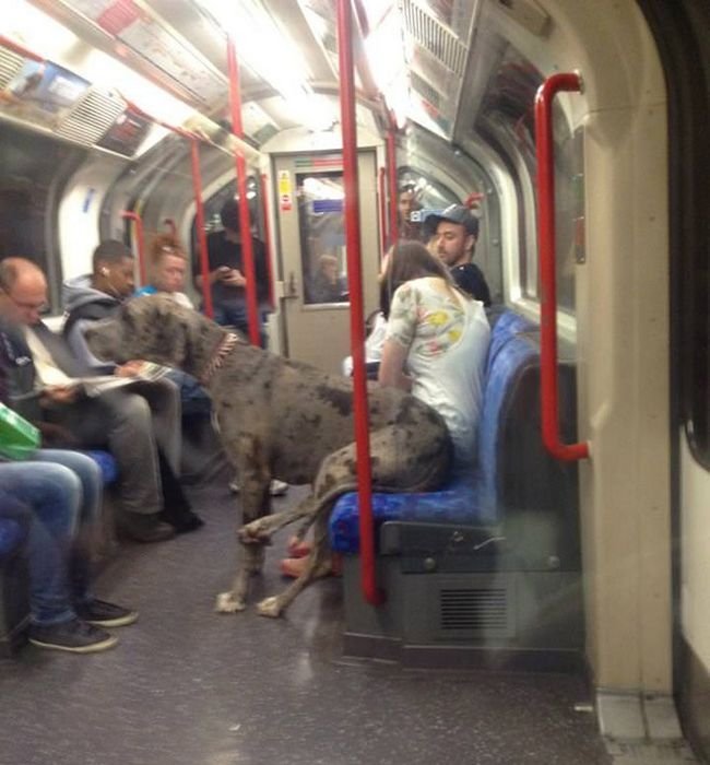 provas-metro-outro-mundo-16