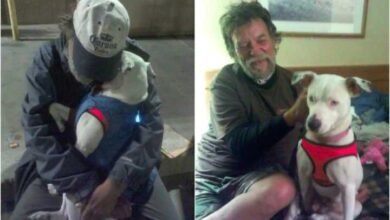 O último pedido desse morador de rua com câncer é emocionante