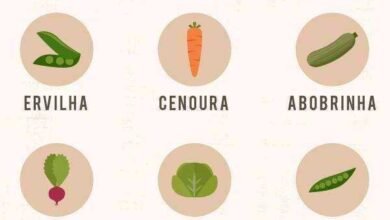 12 VERDURAS E LEGUMES PARA PLANTAR EM VASOS