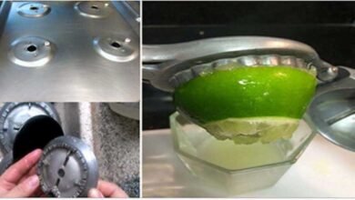 Aprenda como deixar os queimadores limpos sem esforço