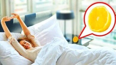Isto é o que acontece se você colocar um limão do lado da cama D