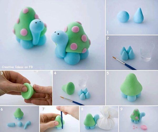 tartaruga de biscuit