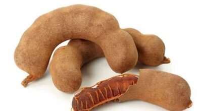 Benefícios do tamarindo para a sua saúde