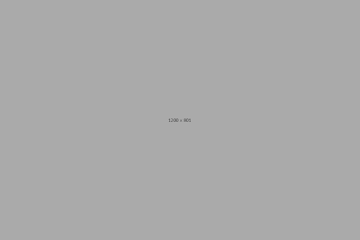photo-1444939222331-0b47955420e5