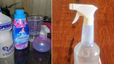 Multiuso caseiro: 3 opções para manter sua casa limpa e perfumada