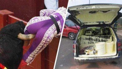 13 pessoas que estão tendo um dia MUITO pior do que o seu