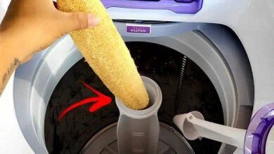 Click Bolso Receitas