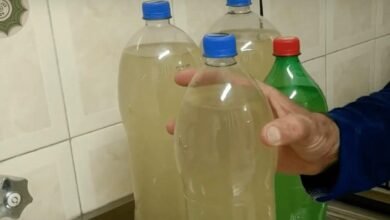 Refrigerante de limão caseiro - simples, saudável e bem mais saboroso