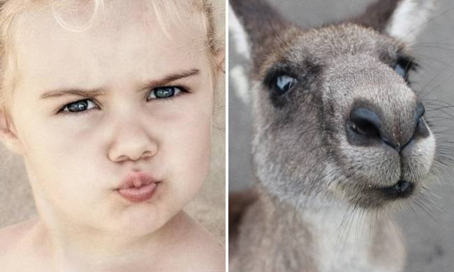 1751108113 223 15 imagens mostrando que criancas e animais podem sentir as