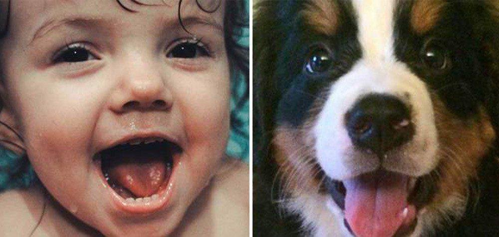 1751108130 968 15 imagens mostrando que criancas e animais podem sentir as