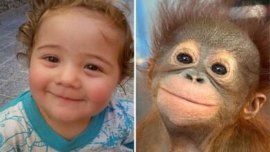 15 Imagens mostrando que crianças e animais podem sentir as mesmas emoções