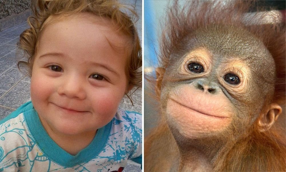 15 Imagens mostrando que crianças e animais podem sentir as mesmas emoções